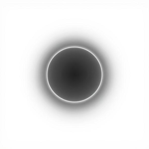 KARL LAGERFELD JEANS Herren T-Shirt Bio-Baumwolle Patch