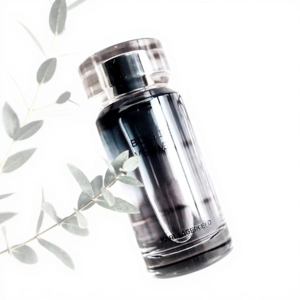 Bois de Vétiver Eau de Toilette Herren Karl Lagerfeld