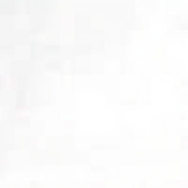 Karl Lagerfeld Jeans Slim T-Shirt Damen Bio-Baumwolle