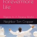 A Forevermore Life Buch 1 Jugendbuch Englisch 32 Seiten-0