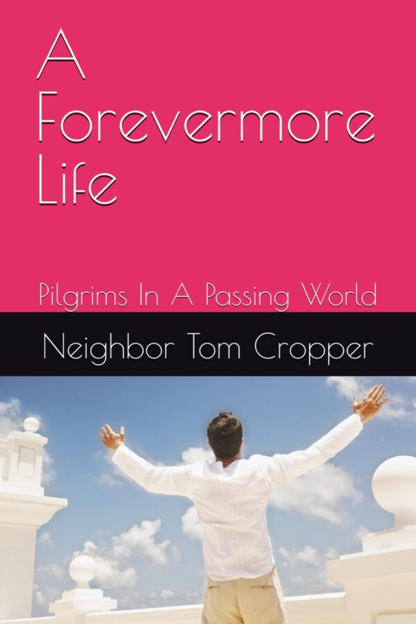 A Forevermore Life Buch 1 Jugendbuch Englisch 32 Seiten-0