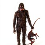 Anomalist Books Englisch Anthropologie Zoologie Wissenschaft-0